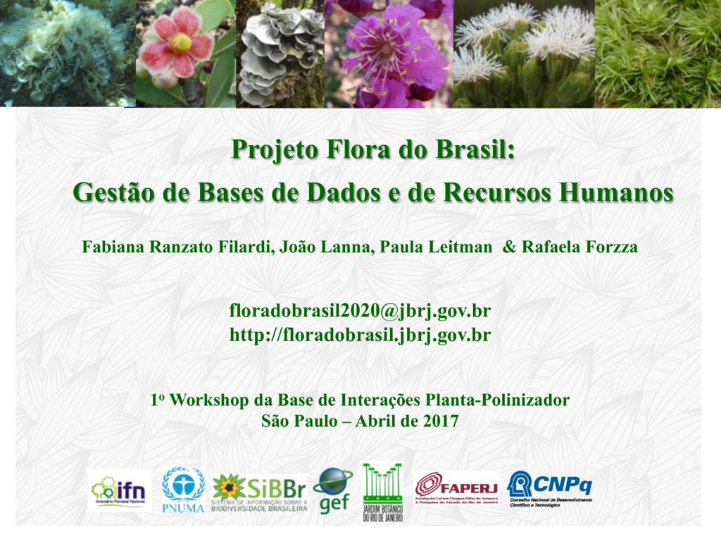 thumbnail of 1. REBIPP_Apresentação 1o Workshop da Base de Interações Planta-Polinizador